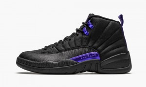 Basket Nike Air Jordan 12 Retro 'Dark Concord' Homme Noir | KD8425190